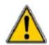 RIBIMEX PRGES2000I - MAINTENANCE, STORAGE AND TROUBLESHOOTING - 1
