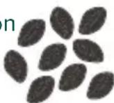 GE C7CGAAS2TS3 - Choisissez vos grains préférés. - 3