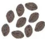 GE C7CGAAS2TS3 - Choose your favorite beans. - 1
