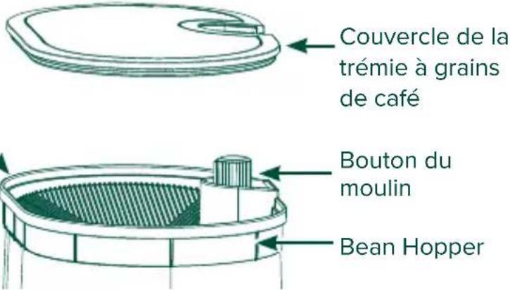 GE C7CGAAS2TS3 - Ajout de grains de café dans la trémie - 1