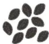 GE C7CGAAS2TS3 - Choose your favorite beans. - 3