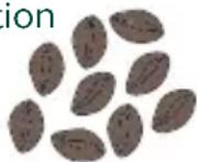 GE C7CGAAS2TS3 - Choisissez vos grains préférés. - 1