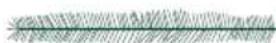GE AFFETTO C7CEBBS4RW3 - Accessories - 2
