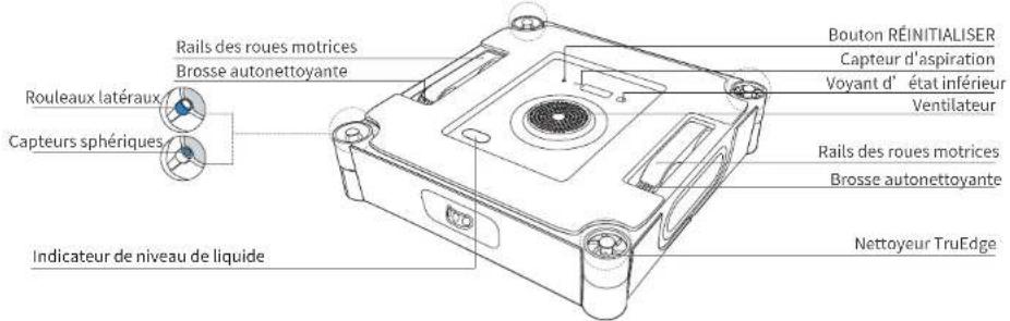 Rouleaux latéraux Capteurs sphériques Indicateur de niveau de liquide Rails des roues motrices Brosse autonettoyante Bouton RÉINITIALISER Capteur d'aspiration Voyant d' état inférieur Ventilateur Rails des roues motrices Brosse autonettoyante Nettoyeur TruEdge