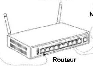 Chauvet Nexus 4×4 - Schéma des Connexions Ethernet - 2