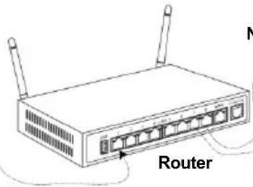 Chauvet Nexus 4×4 - Diagrama de Conexiones Ethernet - 2