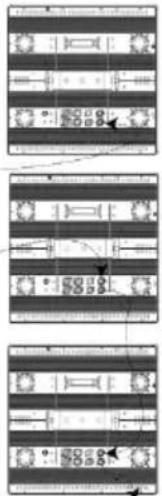 Chauvet Nexus 4×4 - Diagrama de Conexiones Ethernet - 3