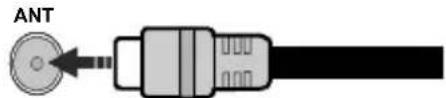 CONTINENTAL EDISON CELED43SAUHD24B3 - Rear-left side of the TV - 1