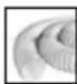 MILWAUKEE AS 2-250 ELCP - SYMBOLS - 5
