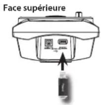 Face supérieure