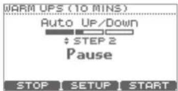 ROLAND TD-11 - MEMO - 1