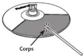 Corps