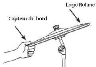 Capteur du bord Logo Roland