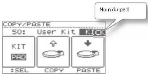 Nom du pad COPY/PASTE 50: User Kit KICK KIT PAD SEL COPY PASTE