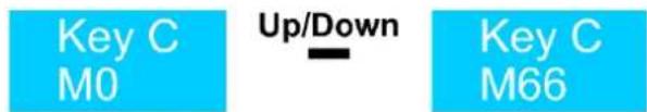 Showtec Stellar UF-1000 Upright Fogger - Key C (Touche C) - 1