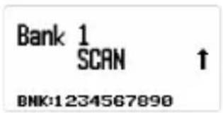Bank 1 SCAN ↑ BNK:1234567890