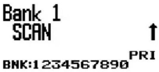 Bank 1 SCAN ↑ BHK:1234567890 PRI