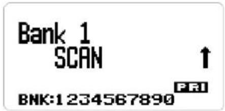 Bank 1 SCAN ↑ FRI BNK:1234567890
