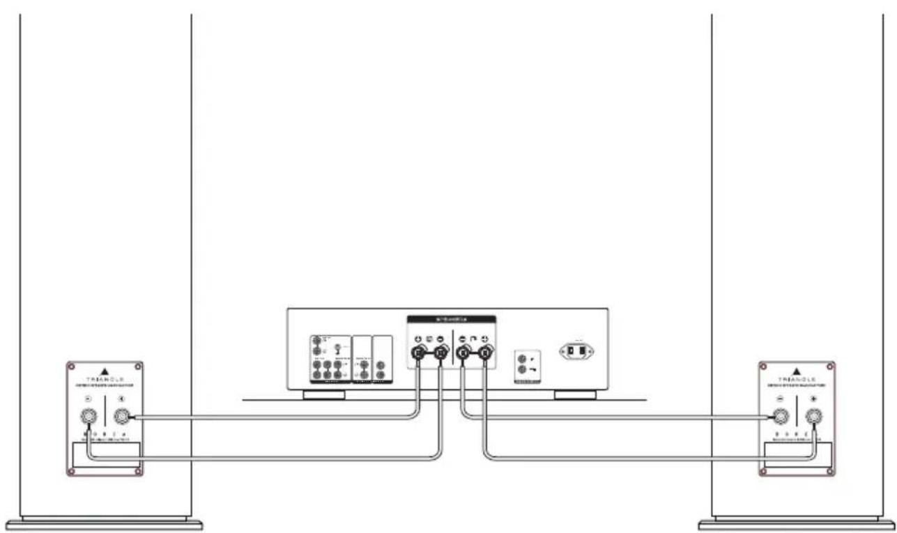 TRIANGLE Borea BR10 - CONNECTIONS - 1