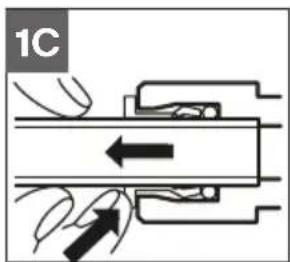 1C