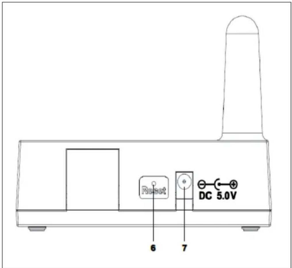 Waldbeck Halley - Receptor - 2