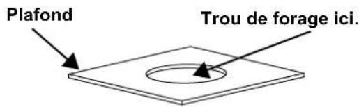 Chauvet Ovation H-55WW - Instructions pour Ovation H-55WW - 1