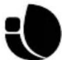 NGS Roller Furia 2 - PRODUCT MANAGER - 2