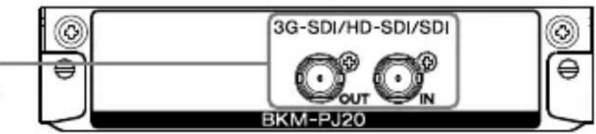 SONY BKM-PJ20 - 入出力 - 1