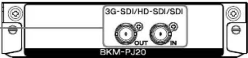 SONY BKM-PJ20 - Входы и выходы - 1