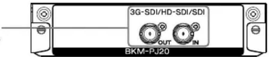 SONY BKM-PJ20 - Ingressi e uscite - 1