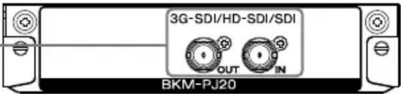 SONY BKM-PJ20 - Entradas y salidas - 1