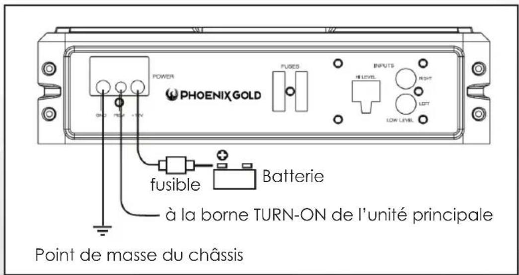 PHOENIX GOLD Z8150V2 - Raccordements électriques - 1
