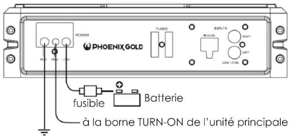 PHOENIX GOLD Z8150V2 - Raccordements électriques - 1