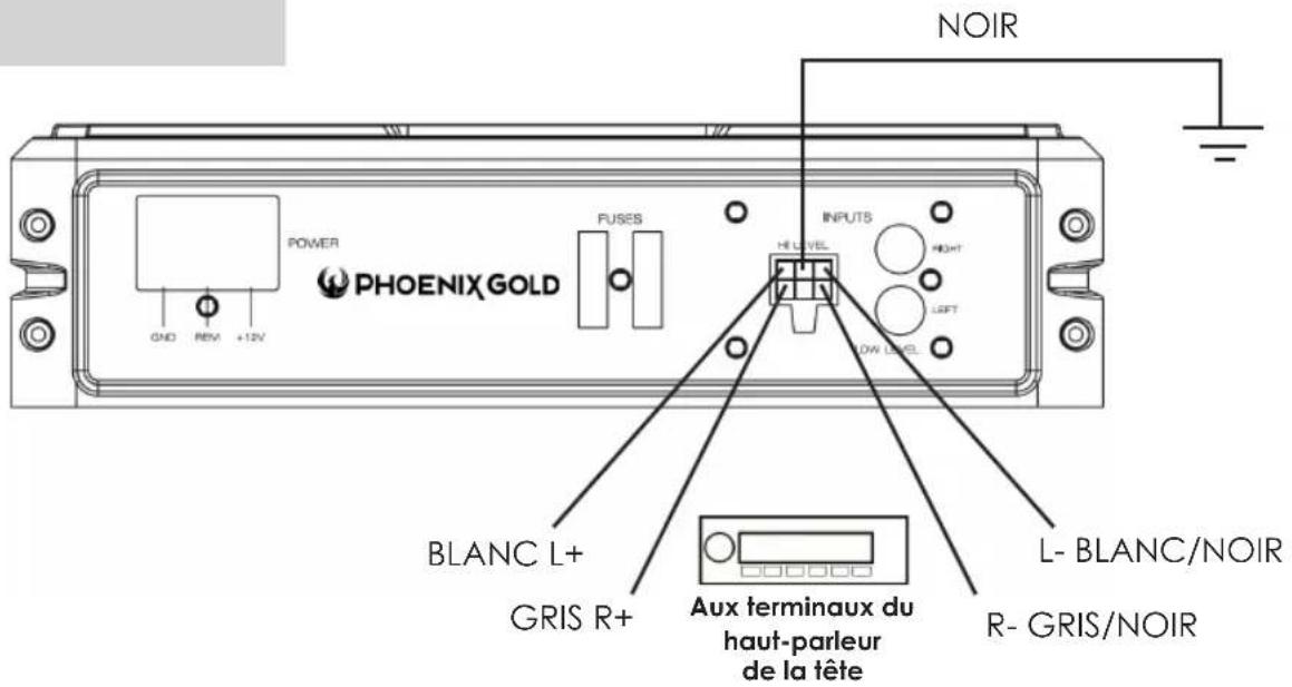 PHOENIX GOLD Z8150V2 - Raccordement d'entrée de haut niveau - 1