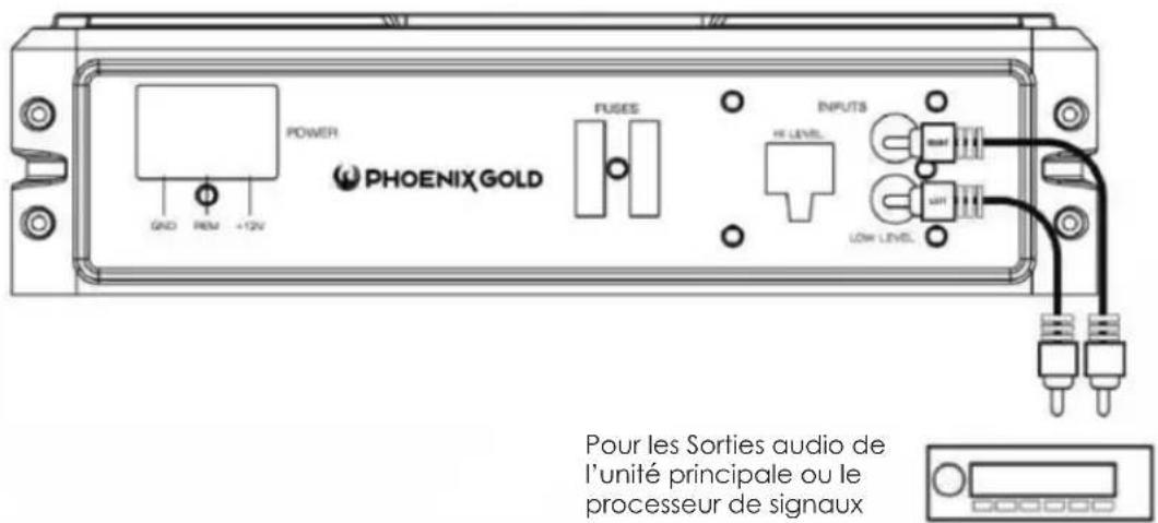 PHOENIX GOLD Z8150V2 - Raccordement d'entrée de bas niveau - 1
