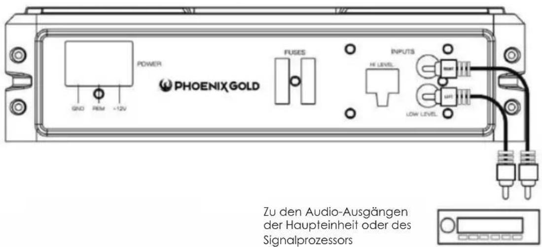 PHOENIX GOLD Z8150V2 - Low-Level-Eingangsverdrahtung - 1
