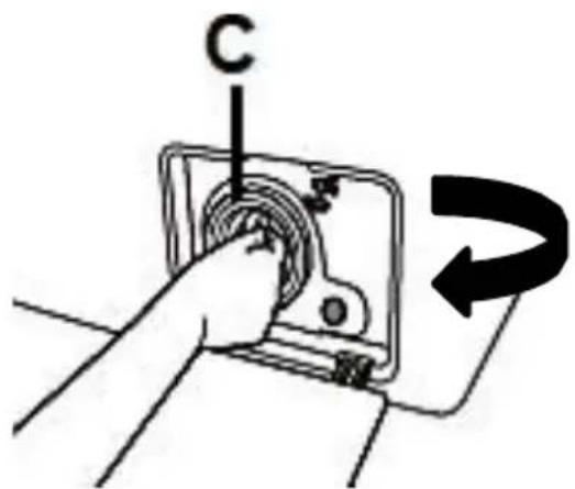 C