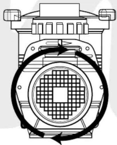 Waterco Hydrostorm Plus - - 三相水泵的转动 - 1