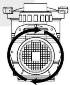 Waterco Supastream - ROTAZIONE DELLA POMPATA TRIFASE - 1