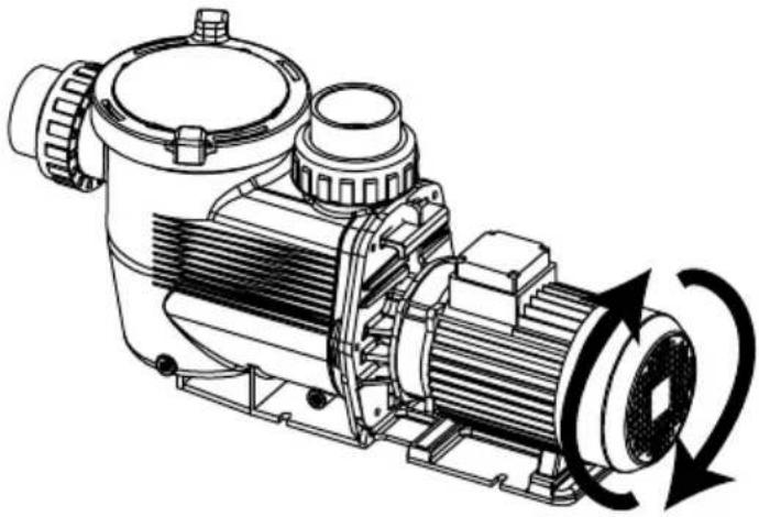 Waterco Supastream - - DREHRICHTUNG DER PUMPE MIT DREHSTROMMOTOR - 2