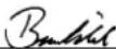 Bavaria by Einhell BWS 115/2 - GB - 1