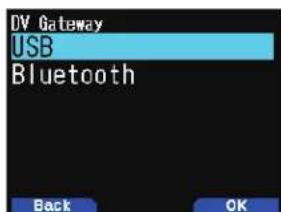 DV Gateway USB Bluetooth Back OK