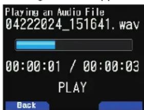 Playing an Audio File 04222024_151641.wav 00:00:01 / 00:00:03 PLAY Back
