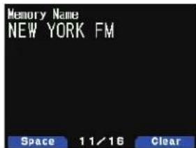 Memory Name NEW YORK FM Space 11/16 Clear