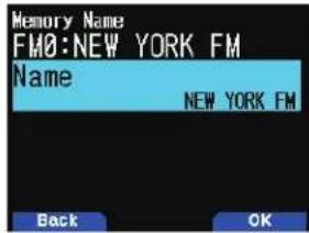Memory Name FM0:NEW YORK FM Name NEW YORK FM Back OK