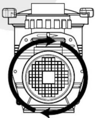 Waterco Hydrostorm High Performance - ROTACION DE LA BOMBA TRIFÁSICA - 1