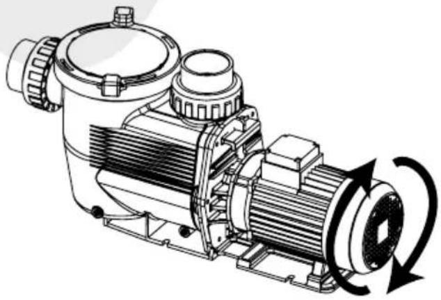 Waterco Hydrostorm High Performance - ROTATION AV TREFASPUMP - 2