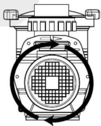 Waterco Turboflo Ancillary - WIRING DIAGRAM - 3