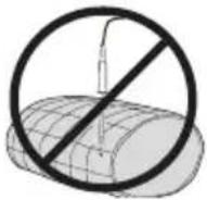 NINJA Woodfire Pro XL OG850EU - HOW TO CORRECTLY INSERT THE PROBE - 4