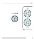 JBL Synthesis SDR-38 - Conector DAB/FM - 1
